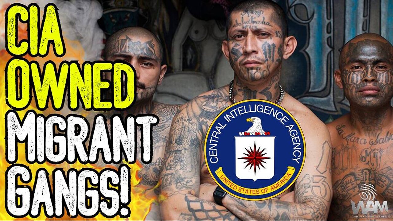 CIA OWNED MIGRANT GANGS! - The Psyop Leading To CIVIL WAR! - Prepare For Chaos Says FBI Official