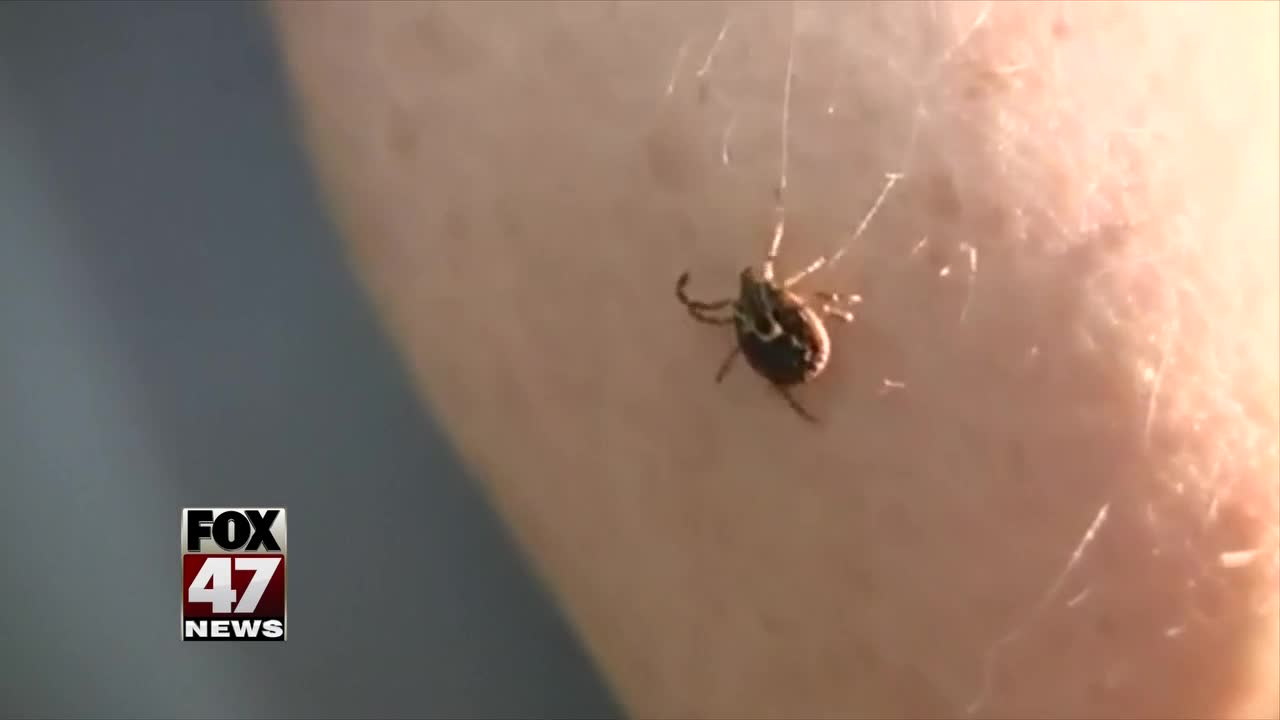 Local woman travels overseas for Lyme disease treatment