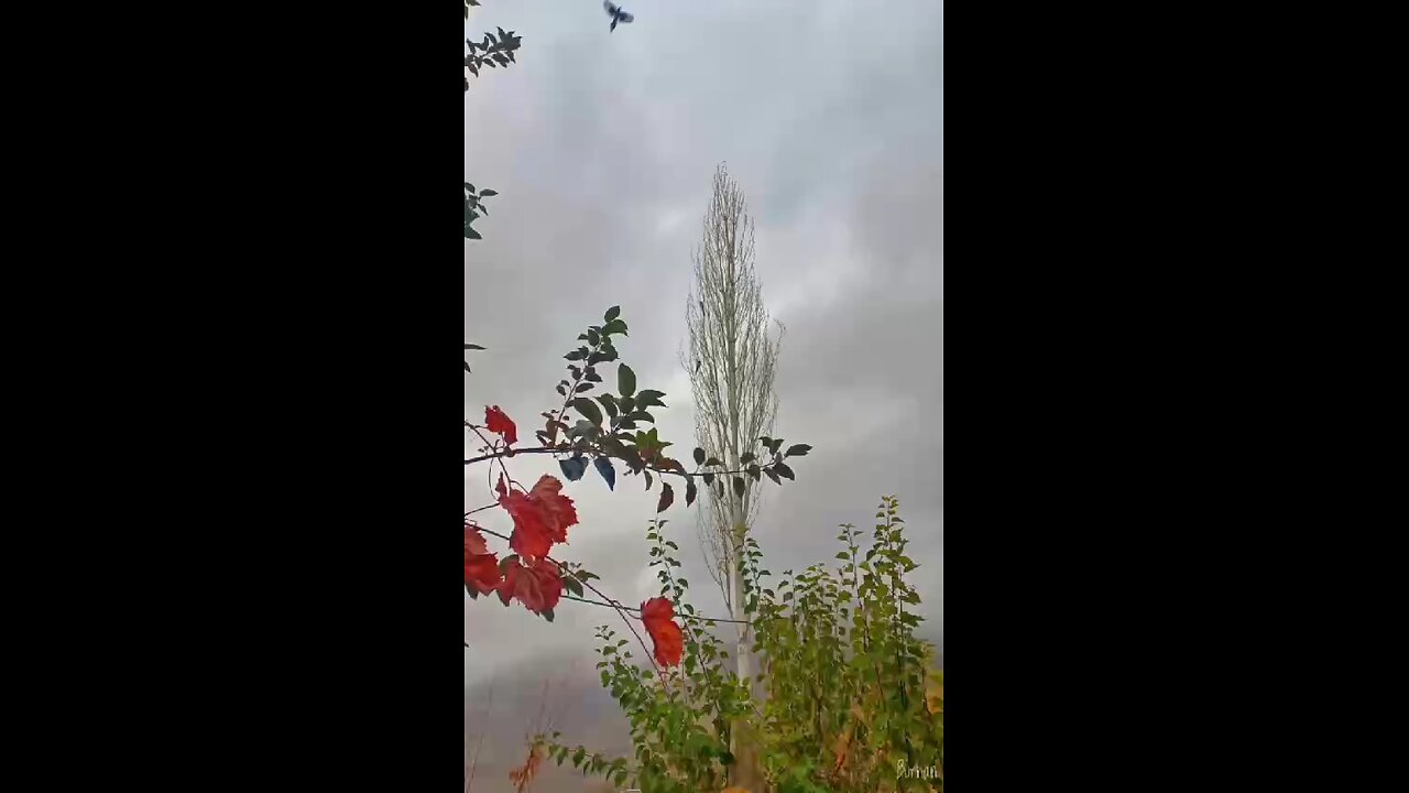 different views of the mountain
