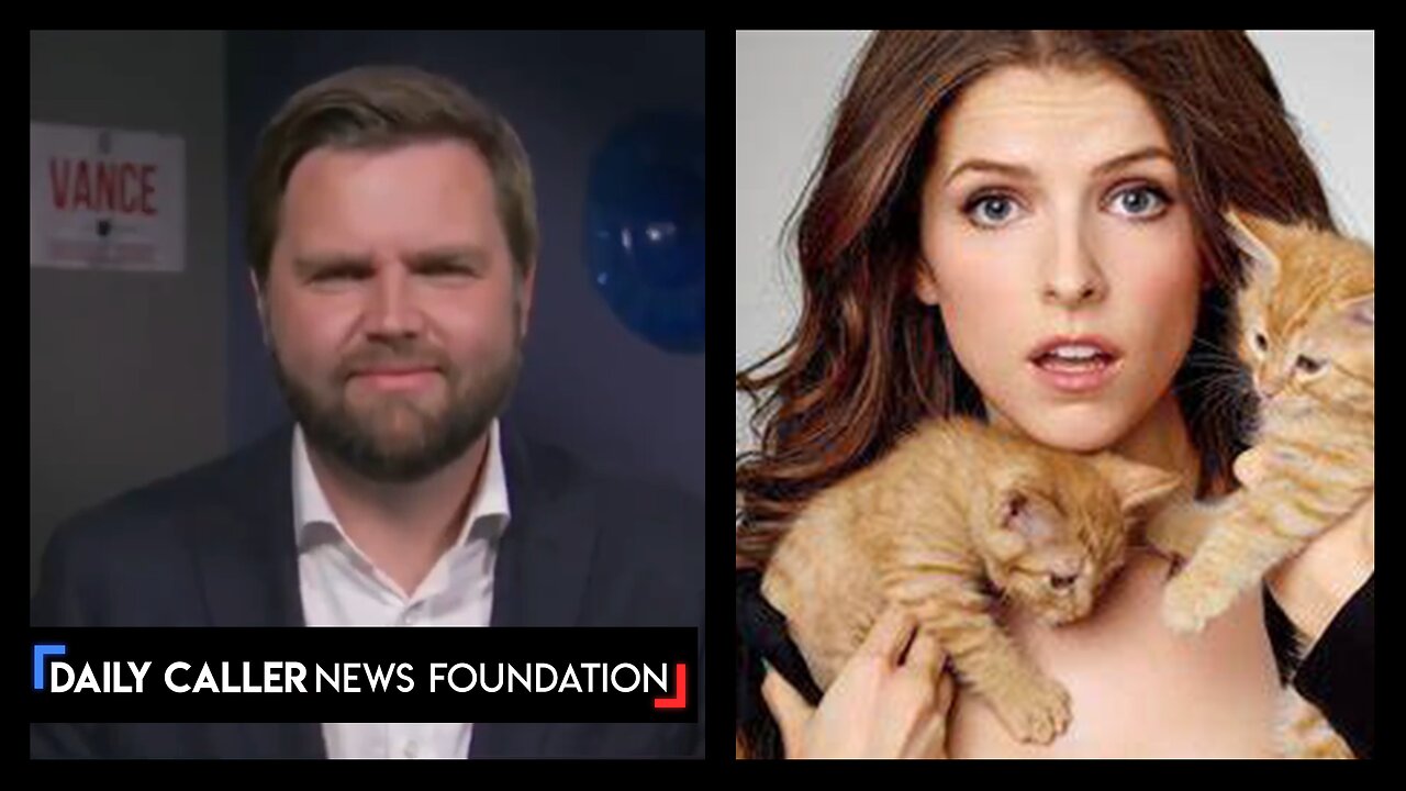 SAVAGE: JD Vance VS 'Childless Cat Ladies'