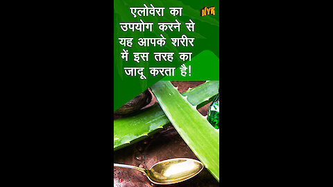 एलोवेरा आपके शरीर को क्या करता है? *