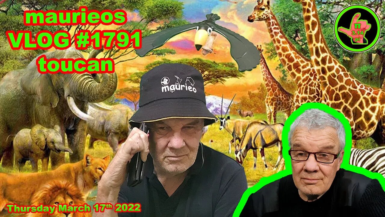 maurieos VLOG #1791 toucan