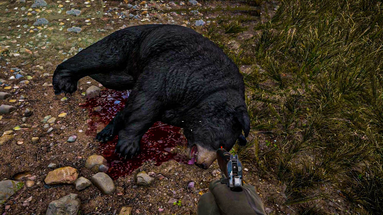 Bear Hunting - Far Cry 5 Gameplay Walkthrough [4k 60fps Ultra] - No Commentary