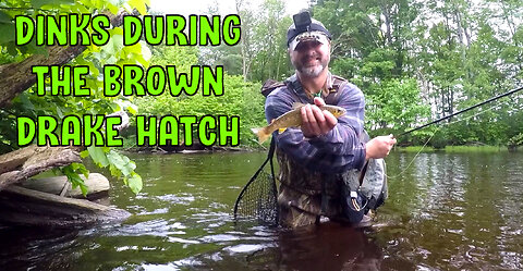 Dinks During The Brown Drake Hatch