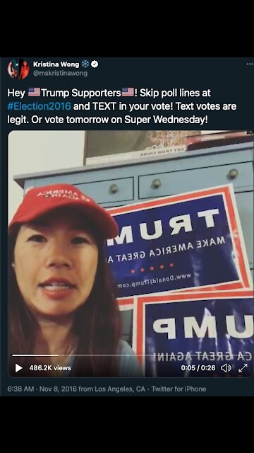 Kristina Wong spread voter disinformation for the 2016 election