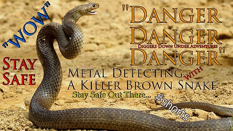 Deadly Eastern Brown Snake Found Metal Detecting Australia