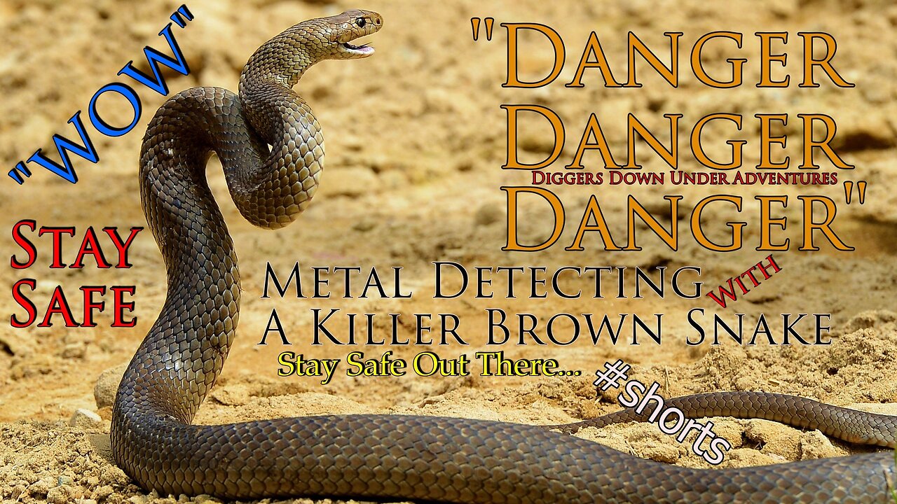 Deadly Eastern Brown Snake Found Metal Detecting Australia
