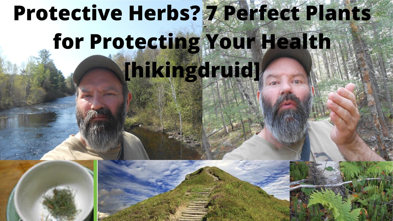 Protective Herbs? 7 Perfect Plants for Protecting Your Health [hikingdruid]