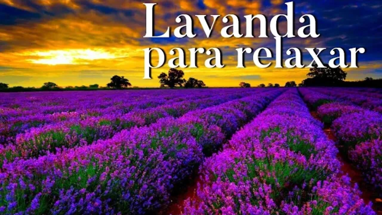 Lavanda para relaxar o ambiente,Música oriental Relaxante