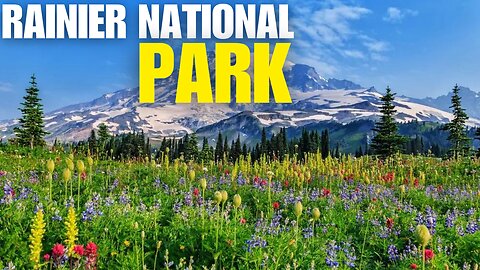 Rainier National Park