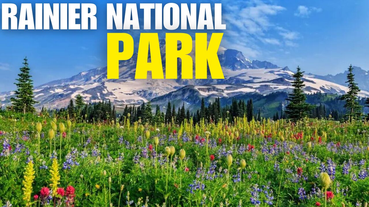 Rainier National Park
