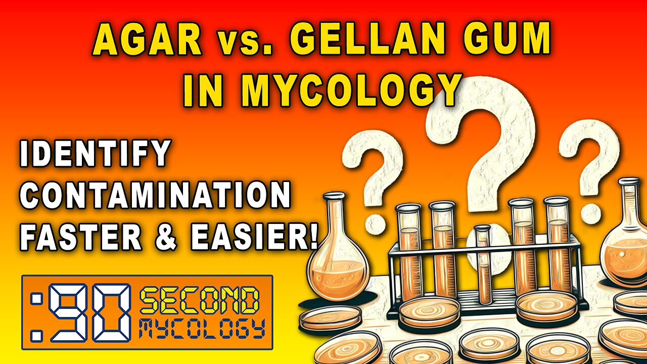 Agar vs. Gellan Gum in Mycology \\ Identify Contamination Faster & Easier!