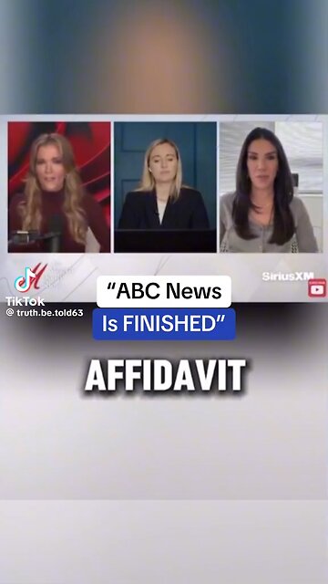 I Would Call This Election Interference 2024