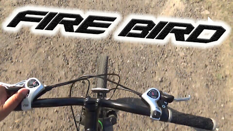 Salida en bici + LoFi