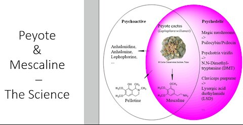 Mescaline & Peyote - Scientific Evidence