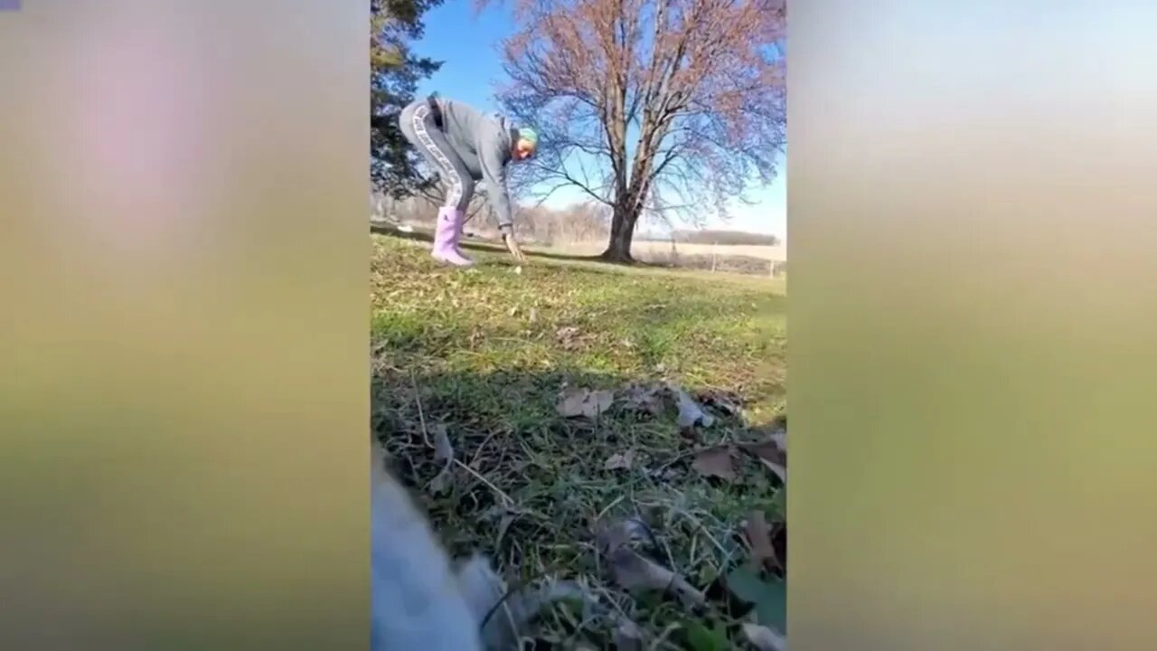 Hilarious moment fox steals camera and tries to bury it #hilarious