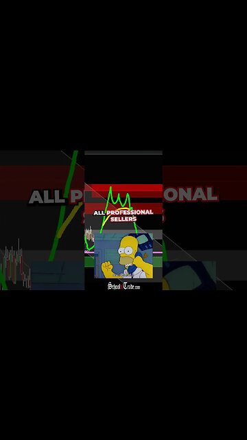 How to Trade in a BEAR Market.. Joseph James🤫 #trading