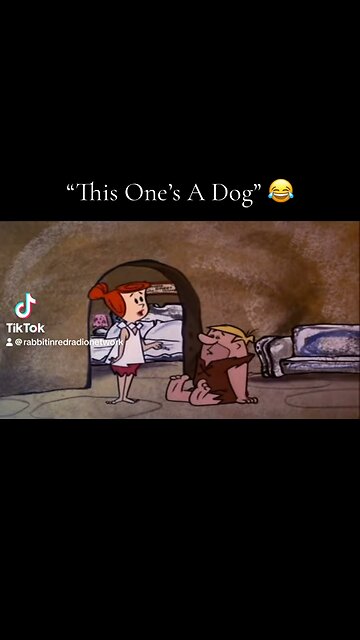 How Many Wives Do You Have?