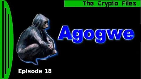 The Crypto Files | Agogwe | Ep18