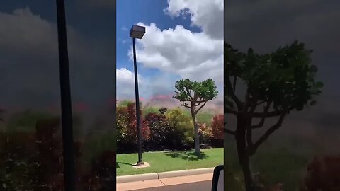 New Fire in Hawaii https://t.me/youllfindout/124091