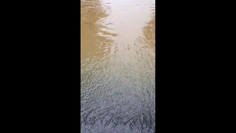 Viewer Video: Flood Waters Cover Leath Road