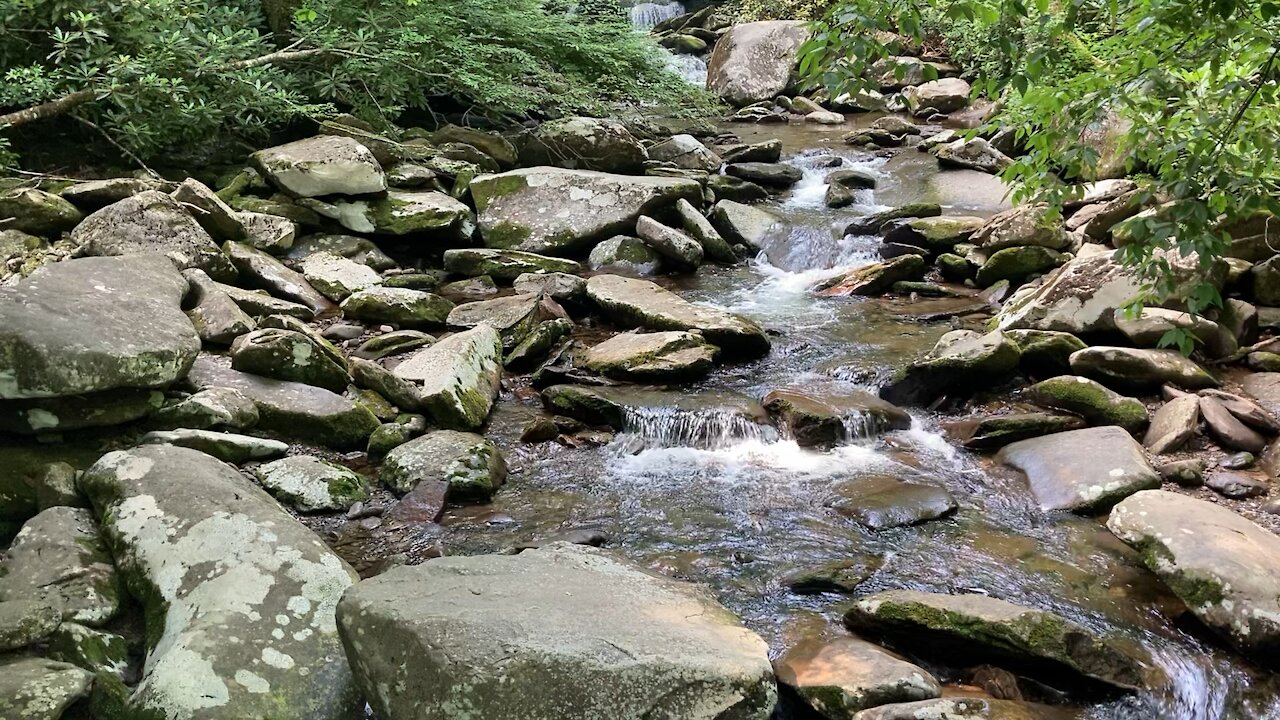 Great Smoky Mountains National Park - Stream