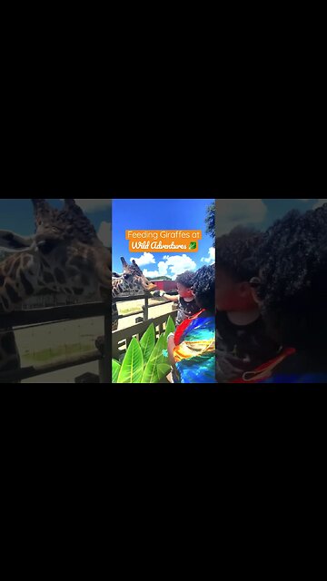 What’s your favorite animal? 🦒 #shorts