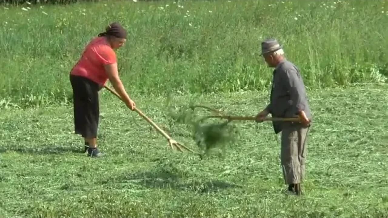 Romania Village Life in Maramures and a day on the Mocanita ~~~ 1