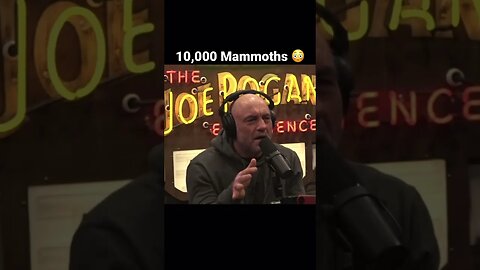 Joe Rogan Talks Mammoths With John Reeves/TheBoneyardAlaska #joerogan #jreclips #joeroganpodcast
