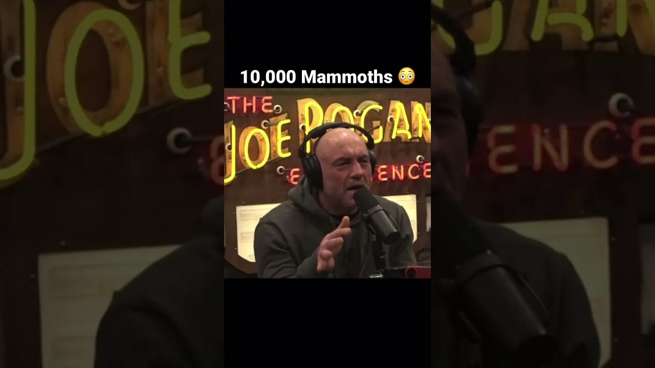 Joe Rogan Talks Mammoths With John Reeves/TheBoneyardAlaska #joerogan #jreclips #joeroganpodcast