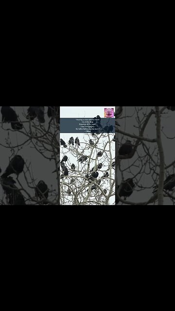 “Hearing a crow with no mouth #shorts #trendingshorts #ikkyu