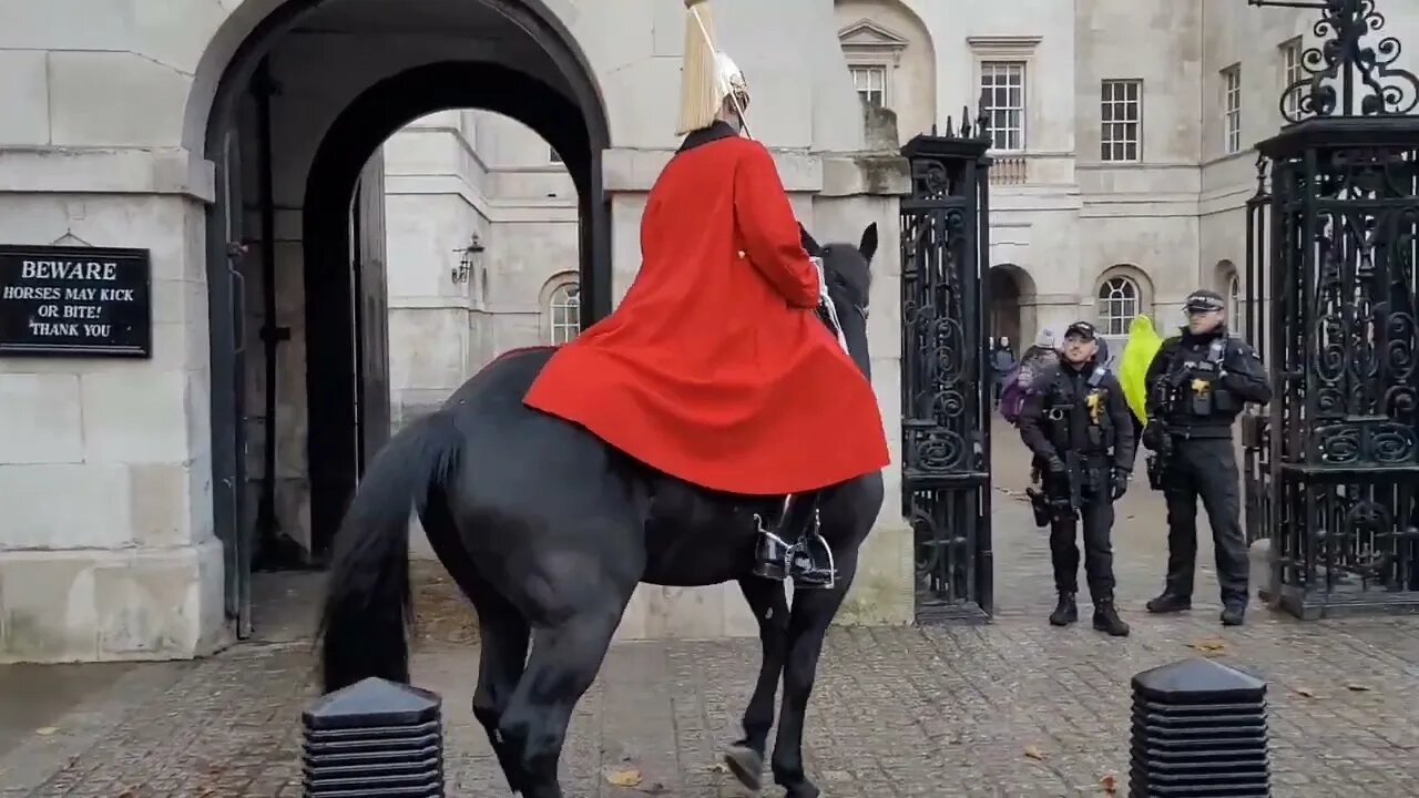 The kings guards horse walks around still won't settle #horseguardsparade