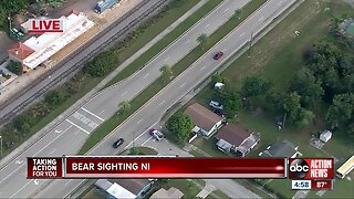 Wildlife officials not allowing anyone to leave Sebring Middle School after bear sighting