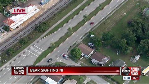 Wildlife officials not allowing anyone to leave Sebring Middle School after bear sighting