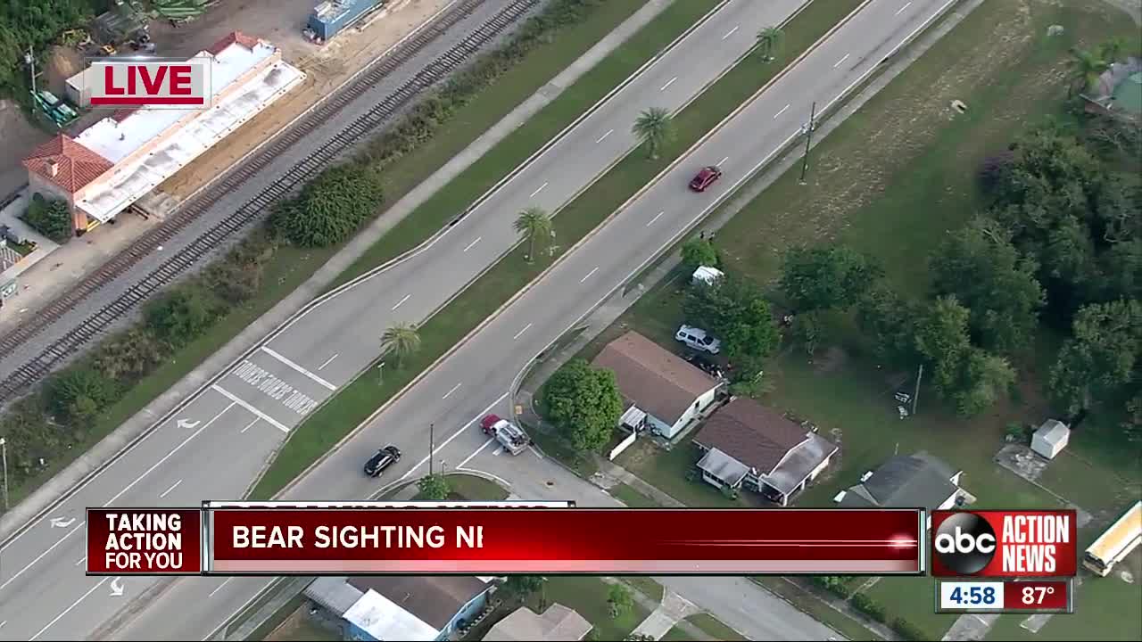 Wildlife officials not allowing anyone to leave Sebring Middle School after bear sighting
