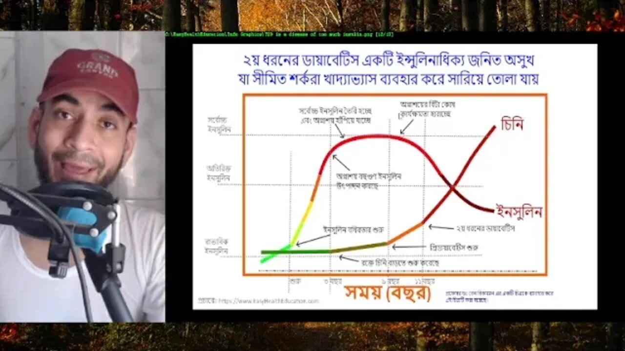 কেন ২য় ধরনের ডায়বেটিস আসলে ইন্সুলিনাধিক্য জনিত অসুখ এবং কেন ইনসুলিন বৈরিতা সারিয়ে তোলা সব থেকে