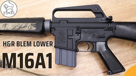 Blem H&R M16A1 Lower + Build