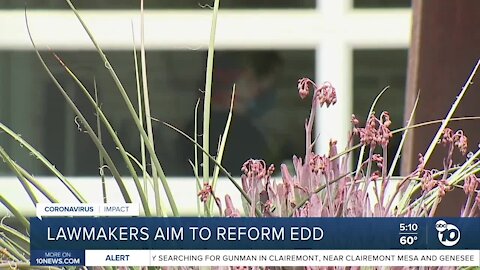 Legislators aim to reform EDD