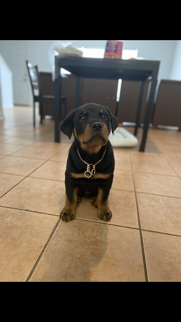 Kilo first ever shower !