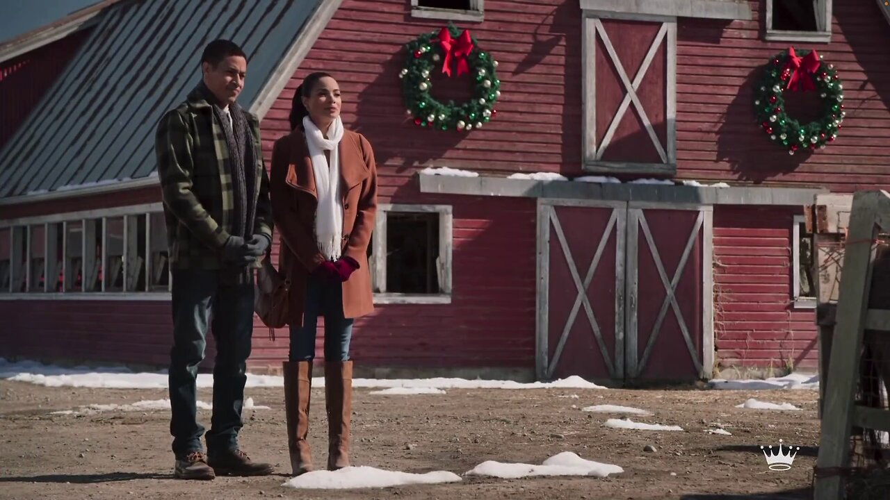 TBT - A Tree for Christmas Growing Somewhere In Colorado