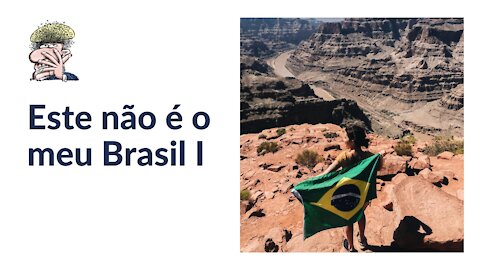 Este não é o meu Brasil I