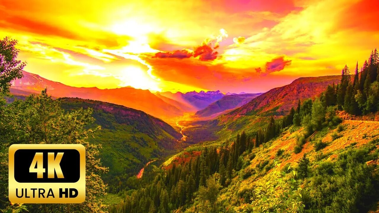 Beautiful Relaxing Music • Calm Music for Studying