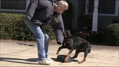 Teaching Dogs to Guard Objects and People