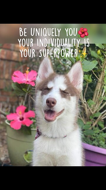 𝐁𝐞 𝐔𝐧𝐢𝐪𝐮𝐞𝐥𝐲 𝐘𝐎𝐔✨ 𝐈𝐭’𝐬 𝐘𝐨𝐮𝐫 𝐒𝐮𝐩𝐞𝐫𝐩𝐨𝐰𝐞𝐫