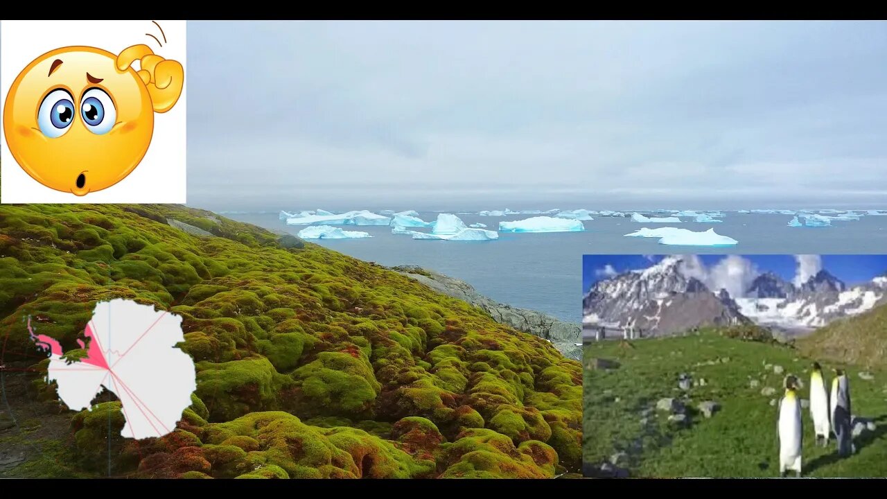 !~🚨MAX ALERT🚨~!FERTILE GREEN CRESCENT IN FROZEN ANTARCTICA?! 3m WIDE INNER EARTH TUNNEL NOW EXPOSED!