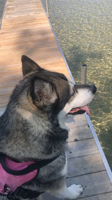 Friday Sept 13, He gave the right to become children of God