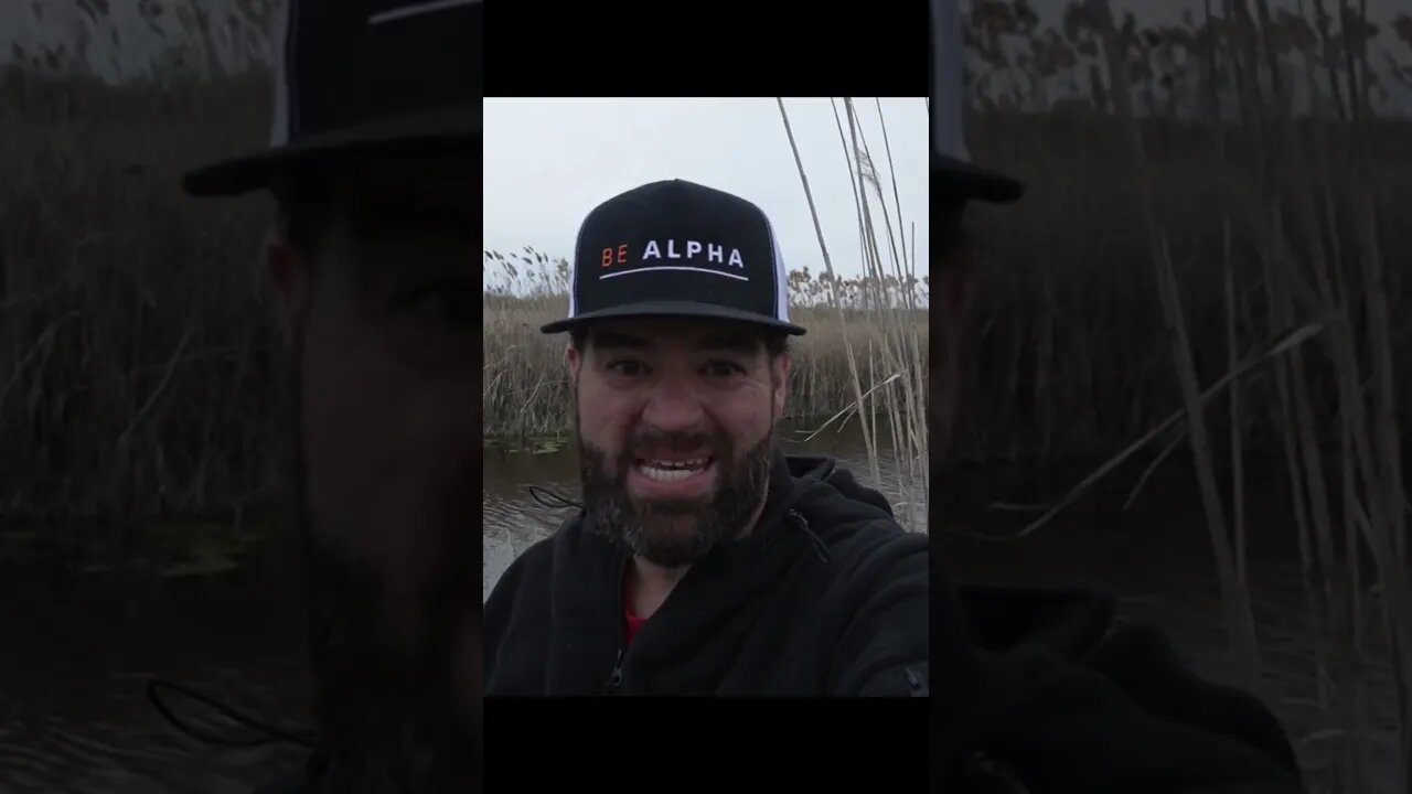 10 MM FULL FRAME TRICK | SECRET ZV E1 and Sony 10-18mm Lenses TRICK | Short
