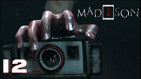 MADiSON Part 12 : ADULTS ONLY : Horror