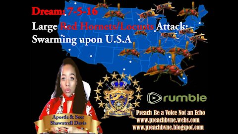 Prophetic Vision 7-5-16 Large RED HORNETS / LOCUSTS Swarm USA