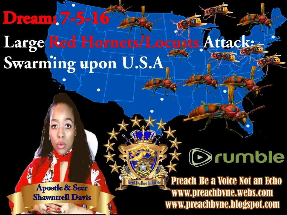 Prophetic Vision 7-5-16 Large RED HORNETS / LOCUSTS Swarm USA